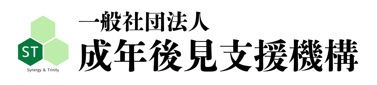 一般社団法人成年後見支援機構
